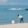 奥斯卡潜在下家浮出水面!诱惑力大 海港恐难留住人